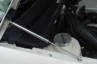 hoodlifts1.jpg (34256 bytes)